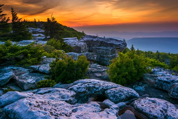 Salida del sol en Bear Rocks Preserve, en Dolly Sods Wilderness, Monon — Foto de Stock