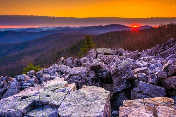 Ανατολή του ηλίου πάνω από το blue ridge βουνό από τη σύνοδο κορυφής της blackrock, αυτή — Φωτογραφία Αρχείου