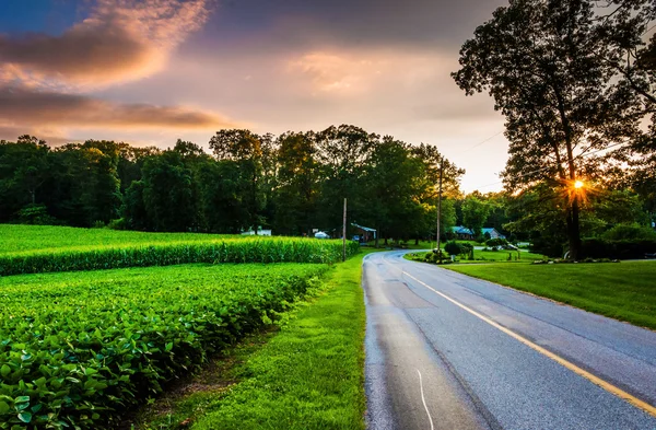 Solnedgang over en landevej i det sydlige York County, Pennsylvania - Stock-foto