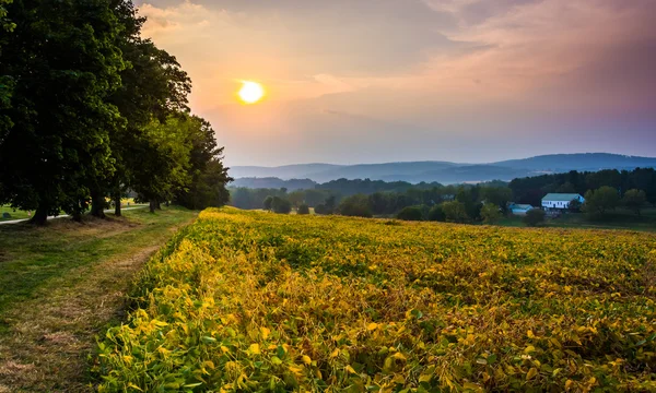 Sunset over a farm field and the Piegon Hills near Spring Grove, — Stock Photo, Image