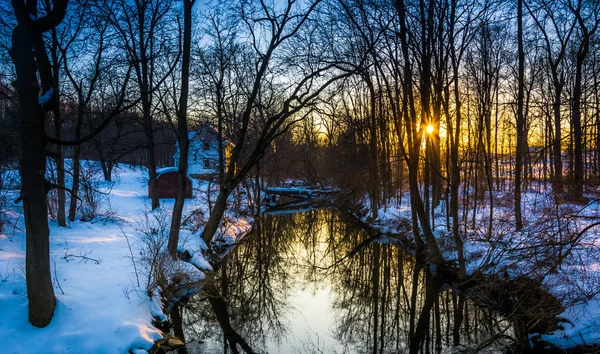 Günbatımı üzerinde bir dere içinde bir kar abbottstown yakınlarında orman kaplı, — Stok fotoğraf