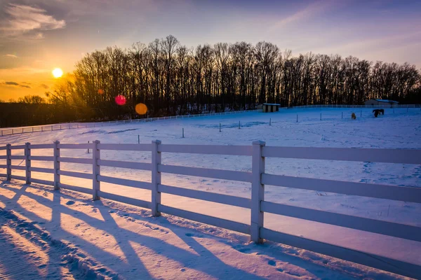 Pôr do sol sobre um campo de fazenda em Carroll County rural, Maryland . — Fotografia de Stock
