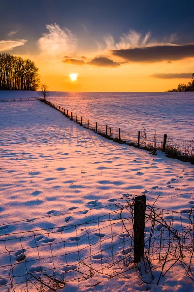 Puesta de sol sobre una valla en un campo cubierto de nieve en Carrol rural —  Fotos de Stock