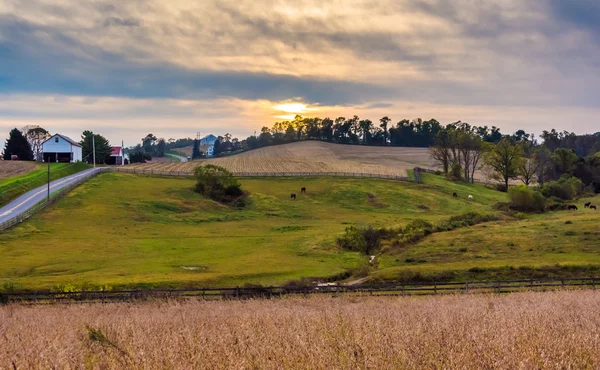 Puesta de sol sobre campos agrícolas y colinas en el condado de Lancaster, Pennsylva —  Fotos de Stock