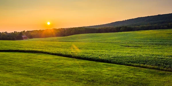 Pôr do sol sobre campos agrícolas no Condado de York rural, Pensilvânia . — Fotografia de Stock