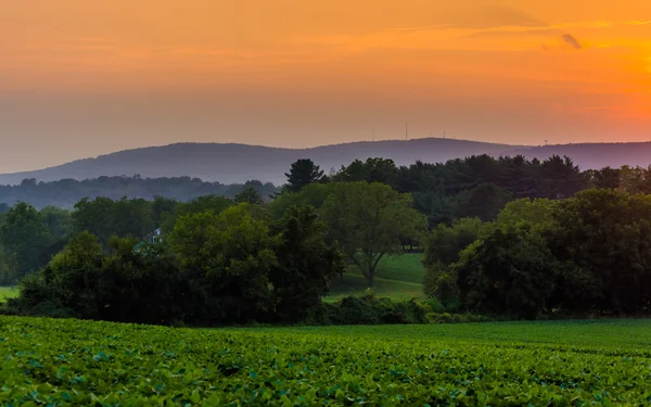 Sonnenuntergang über den Feldern und den Piegonhügeln, in der Nähe des Frühlingshains, — Stockfoto