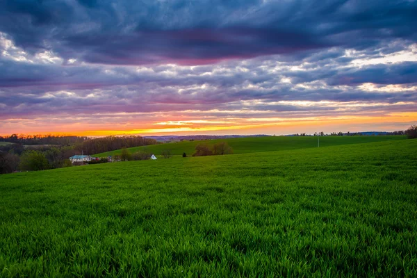 Zonsondergang over boerderij velden in rural york county, pennsylvania. — Stockfoto