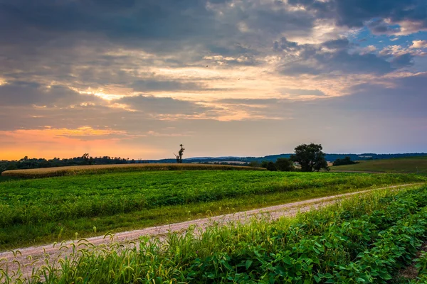 Cielo atardecer sobre caminos de tierra y campos agrícolas en el condado rural de York , —  Fotos de Stock