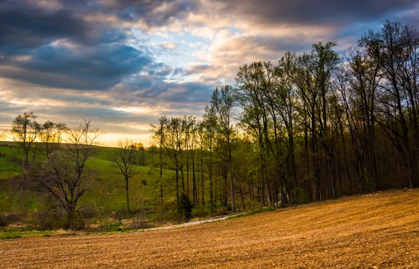 Solnedgång himlen över gården fält och träd i landsbygdens york county, penn — Stockfoto