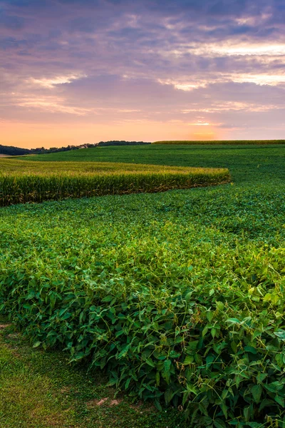 Sonnenuntergangshimmel über den Feldern in der ländlichen Grafschaft York, Pennsylvania. — Stockfoto