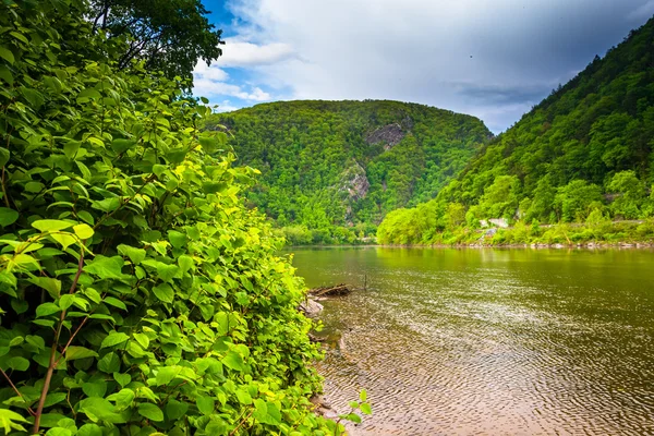 Die delaware wasserlücke gesehen von kittatinny point in delaware wa — Stockfoto