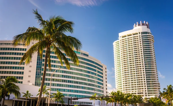 Fontainebleau hotel v miami beach, florida. — Stock fotografie