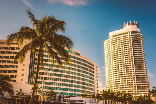 The Fontainebleau Hotel, em Miami Beach, Flórida . — Fotografia de Stock