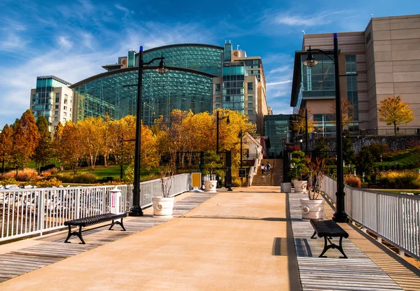 Il Gaylord National Resort, visto da un molo nel fiume Potomac — Foto Stock