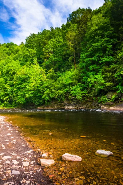 The Lehigh River at Lehigh River State Park, Pennsylvania — Stock Photo, Image