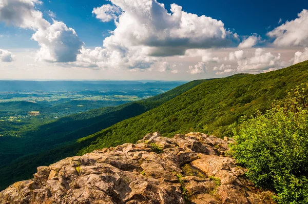 O Vale do Shenandoah e Blue Ridge de Crescent Rock em Shena — Fotografia de Stock