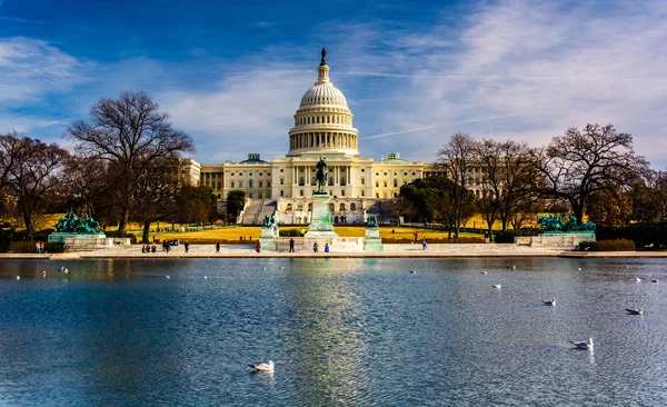 Az Egyesült Államok Capitoliuma és a tükröző medence, Washington, dc. — Stock Fotó