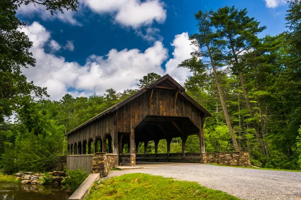 Den täckta bron över hög faller, i dupont Statlig skog, inte heller — Stockfoto