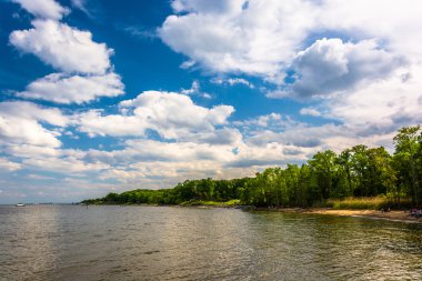 Pasadena, mary downs Park'taki chesapeake Körfezi kıyısında