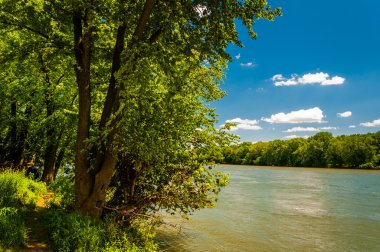 güneşli bir bahar günü, potomac Nehri boyunca ağaçlar gelin ro