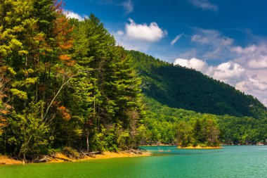 Trees along the shore of Watauga Lake,  Cherokee National Forest clipart