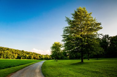 Trees and lawn along dirt path in Southern York County, Pennsylv clipart