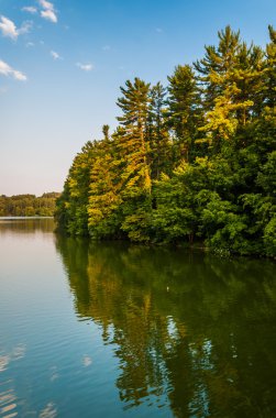 ağaçların göl williams, York, pennsylvania kıyısında. 