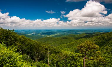 piedmont shenandoah milli park manzarası sürücüden görünümünü,