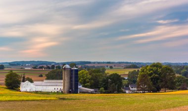 kırsal lancaster county, pe bir çiftlikte ahır ve silolar görünümü