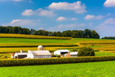 bir çiftlik kırsal york County, pennsylvania görünümünü. 