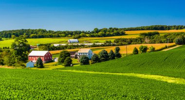 bir çiftlik kırsal york County, pennsylvania görünümünü. 