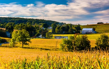 Mısır alanları ve tepeler kırsal york county, penn içinde görünüm