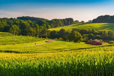 View of cornfields and a barn in rural York County, Pennsylvania clipart