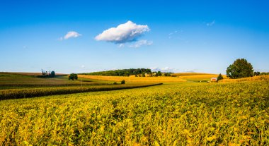 tarım alanları ve tepeler york county, pennsylvan içinde görünüm