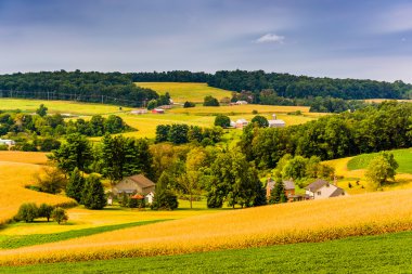 tarım alanları ve tepeler kırsal york county, penn içinde görünüm