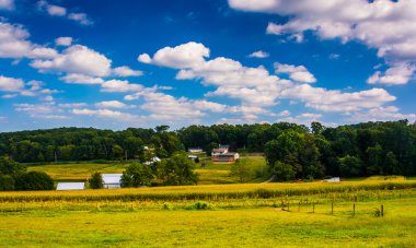 tarım alanları kırsal york County, pennsylvania görünümünü. 