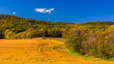 piegon Hills, çevre hanover, pennsylvania görünümü. 