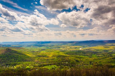 skyline sürücü shenandoah n shenandoah Vadisi'nin görünümü
