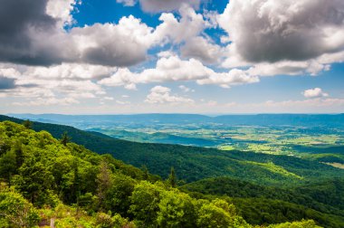 skyline sürücü itibaren overlook bir shenandoah Vadisi'nin görünümü 