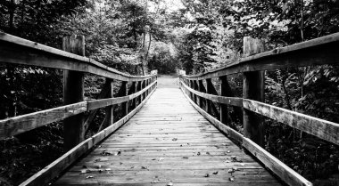 shenandoah Ulusal PA limberlost izinde yürüyen Köprüsü