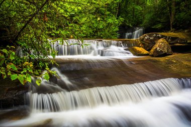 şelale ve tablo rock devlet başabaş carrick Creek cascades