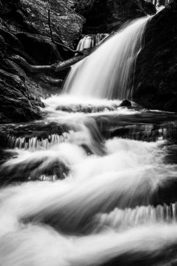 şelale ve cascades holtwood, pennsylvania bir dere üzerinde. 