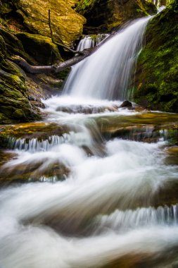 şelale ve cascades holtwood, pennsylvania bir dere üzerinde. 