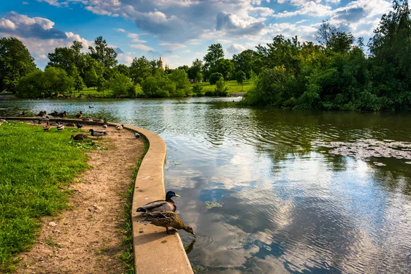 El estanque en Patterson Park en Baltimore, Maryland . — Foto de Stock