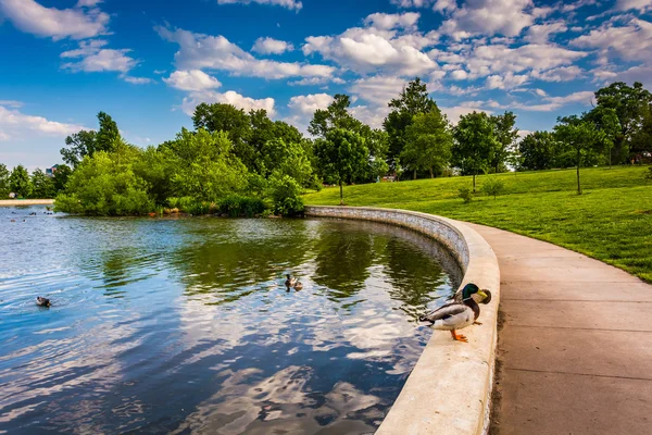 A lagoa em Patterson Park em Baltimore, Maryland . — Fotografia de Stock