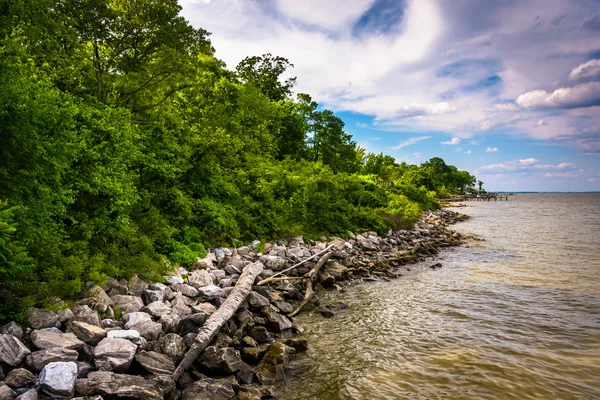 Stranden av chesapeake bay på downs park, i pasadena, mary — Stockfoto