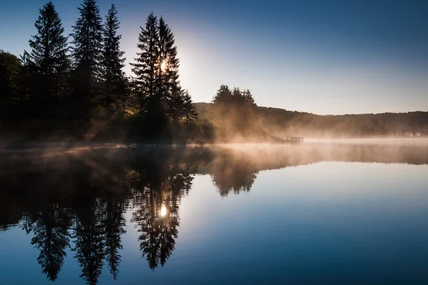 El sol brilla a través de los pinos y la niebla al amanecer, en Spruce — Foto de Stock