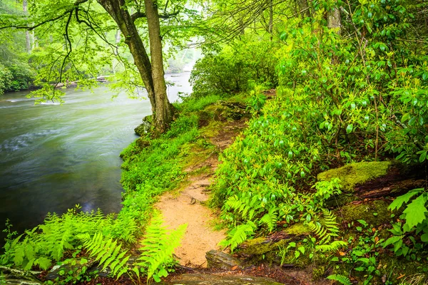 Trail along the Gunpowder River, near Prettyboy Reservoir in Bal — Stock Photo, Image
