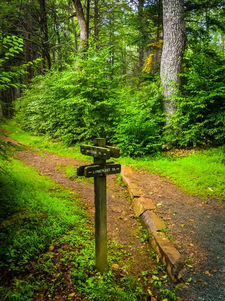 Trail marker along the Limberlost Trail, in Shenandoah National — Stock Photo, Image
