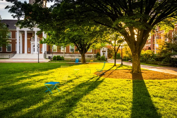 Tree and Gilman Hall en la Universidad John Hopkins en Baltimore, Ma — Foto de Stock